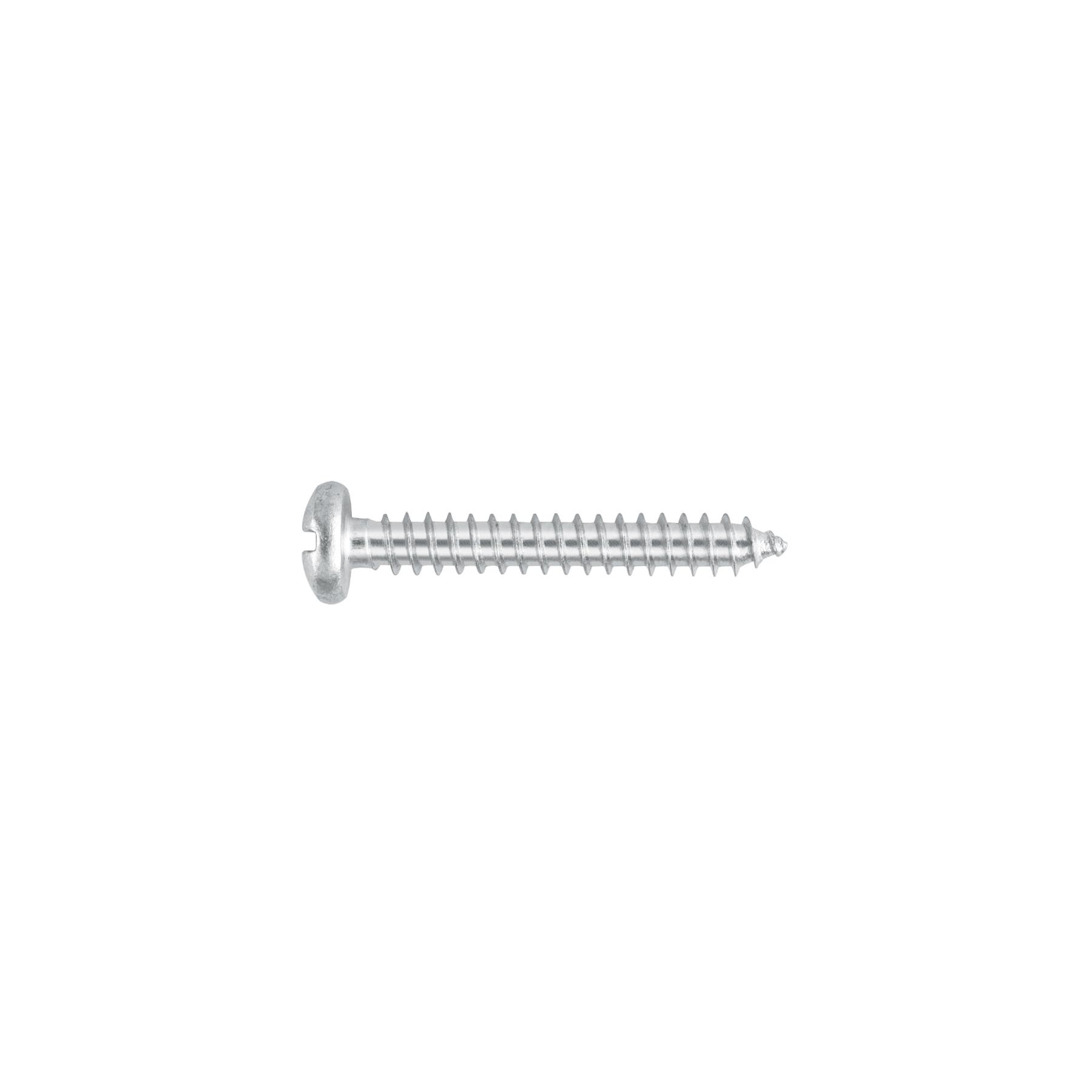 "BLÍSTER CON 6 TORNILLOS PARA LÁMINA, #12 X 1-1/2"", FIERO"