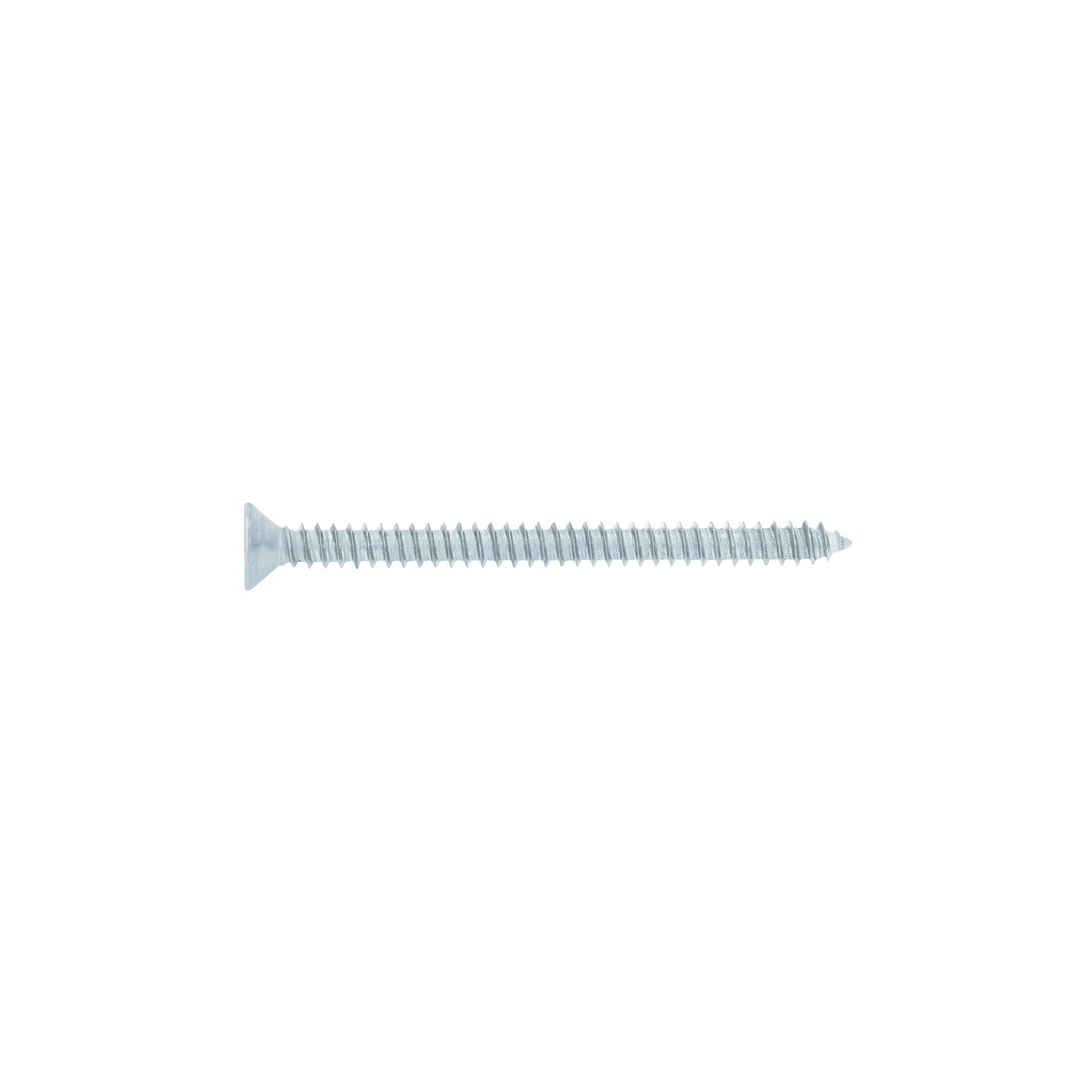 "BOLSA 150 TORNILLOS PARA LÁMINA CABEZA PLANA #10 X 2-1/2"", FIERO"