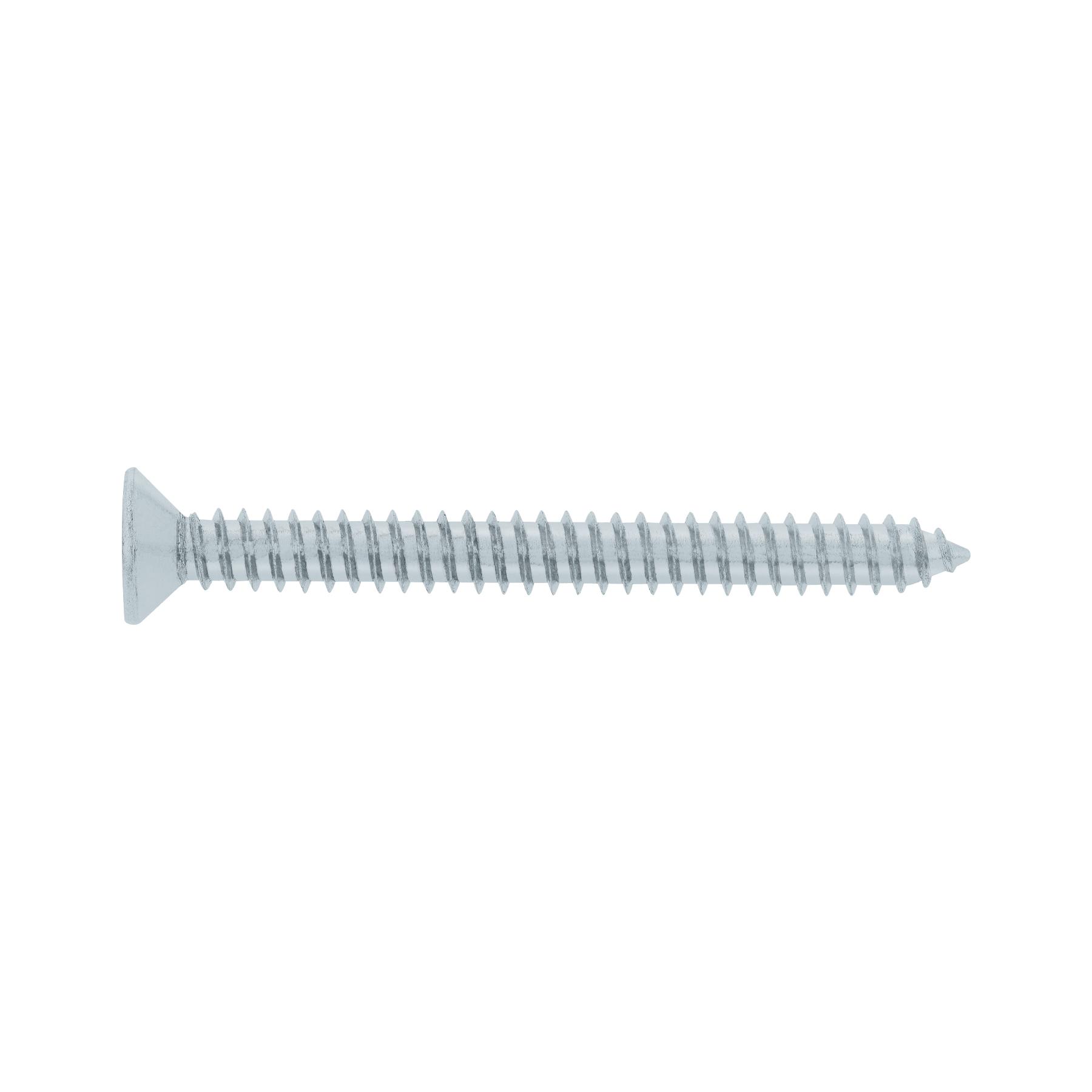 "BOLSA 100 TORNILLOS PARA LÁMINA CABEZA PLANA #14 X 2-1/2"", FIERO"