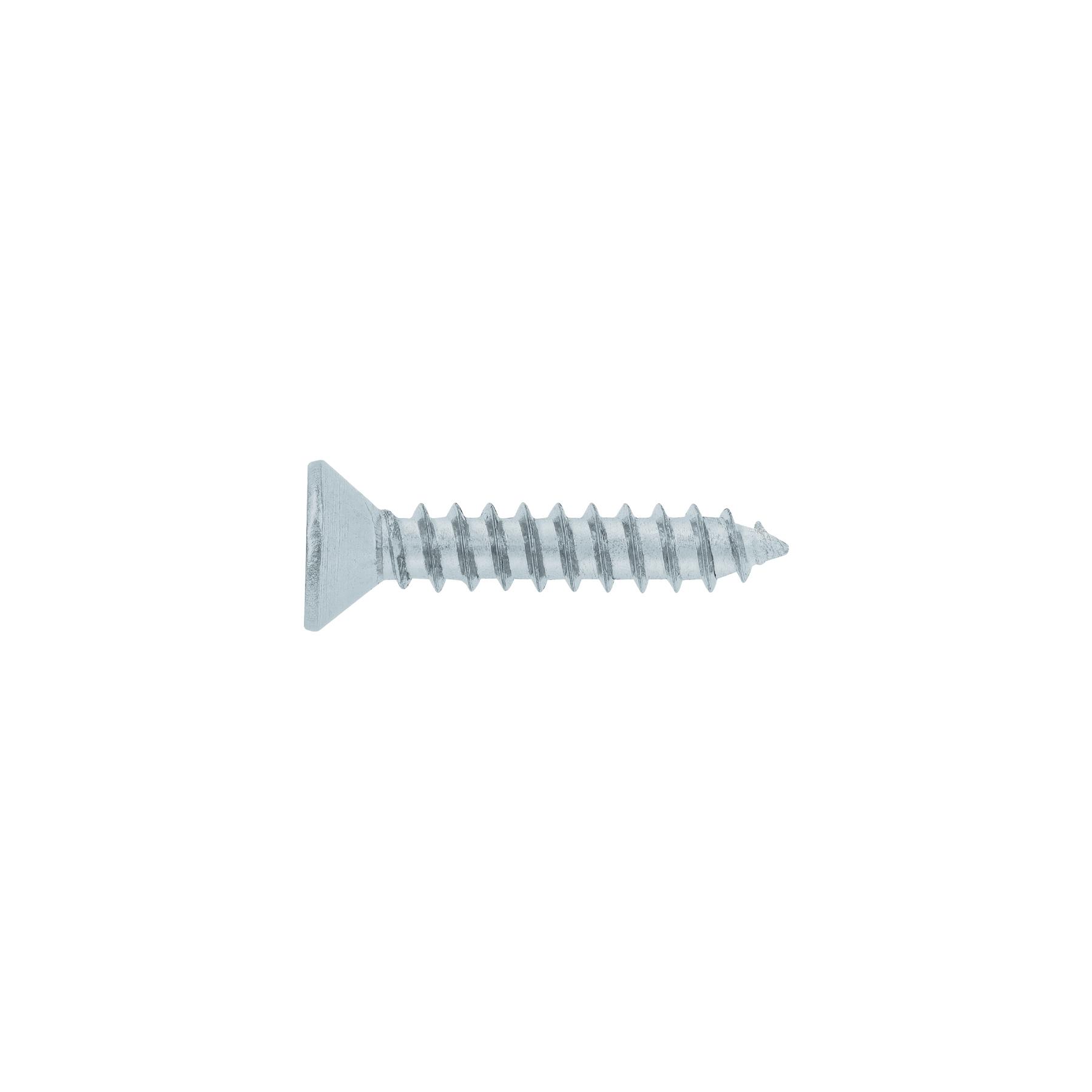 "BOLSA 200 TORNILLOS PARA LÁMINA CABEZA PLANA #6 X 3/4"", FIERO"