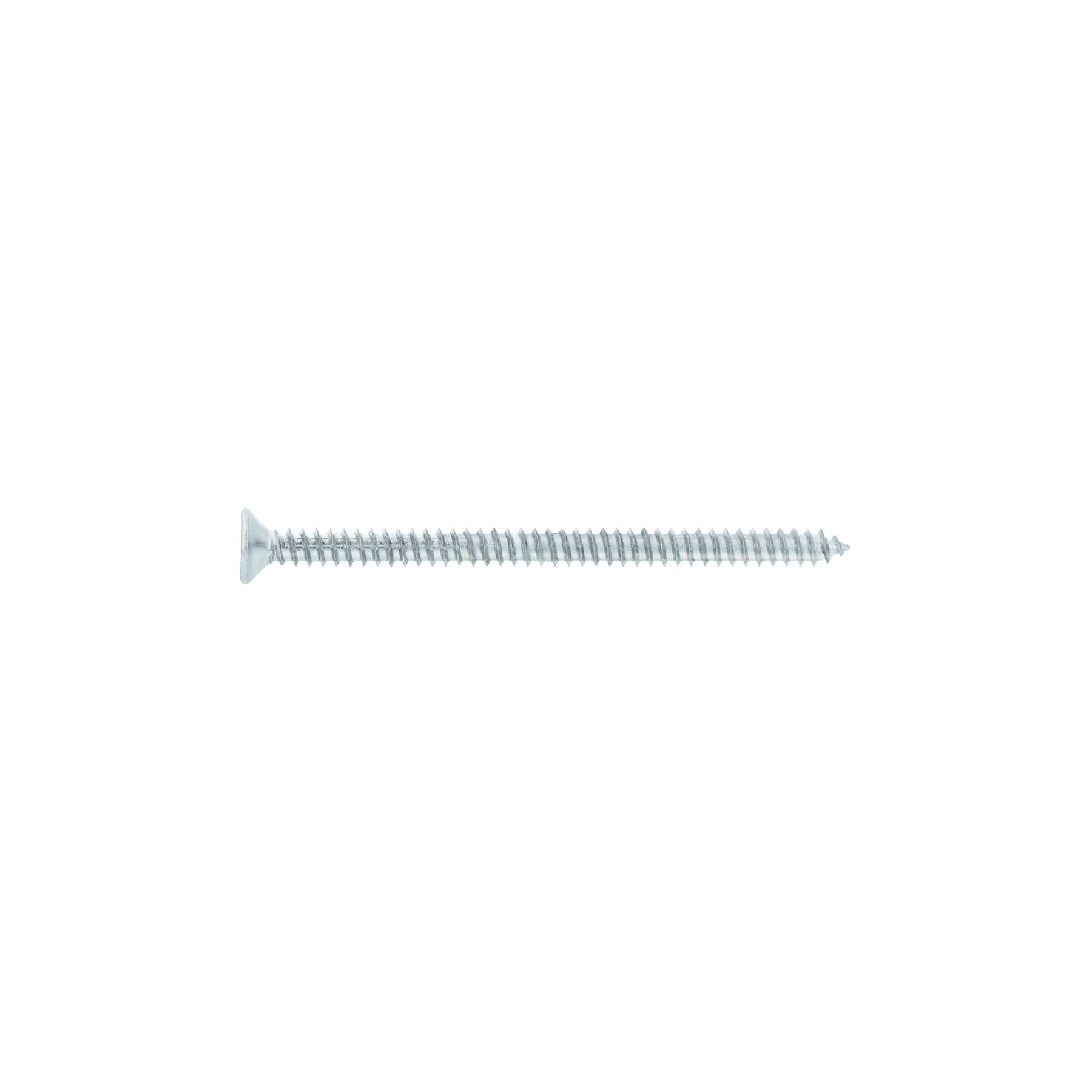 "BOLSA 200 TORNILLOS PARA LÁMINA CABEZA PLANA #8 X 2-1/2"", FIERO"