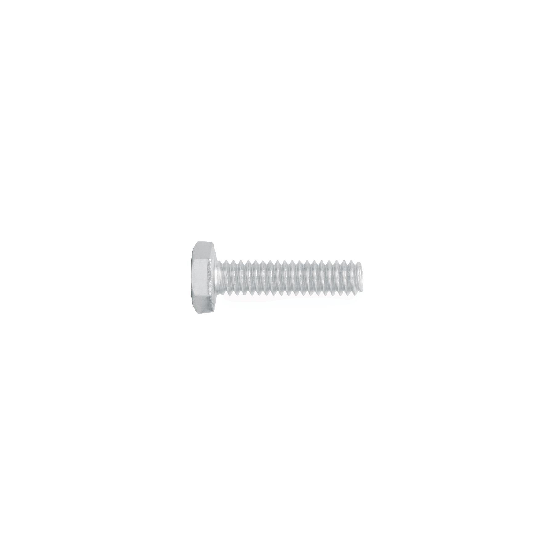 "BLÍSTER CON 10 TORNILLOS 1/4"" X 1"" TIPO MÁQUINA, FIERO"